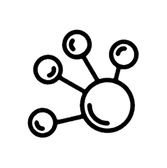 Aging Cell